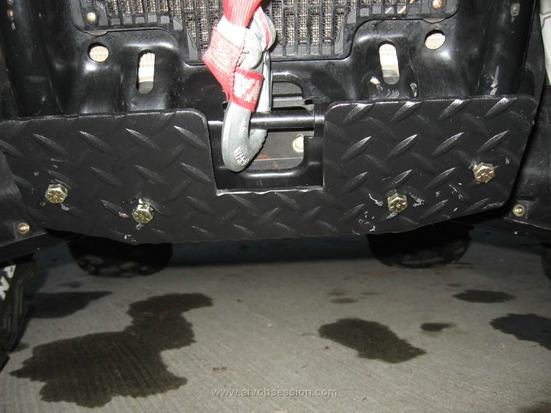 13. Jack's bash plate up close..jpg