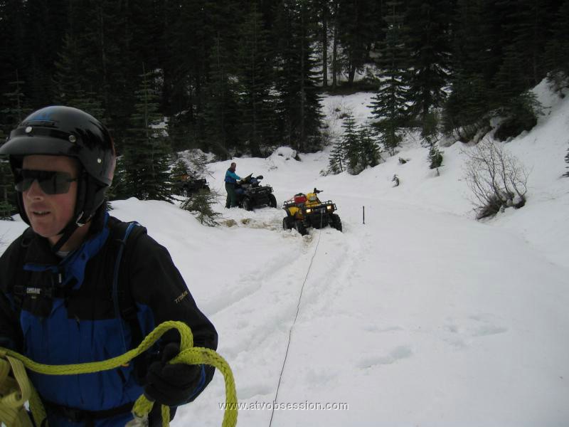 23. Not a lot of trees...good thing I came back.jpg