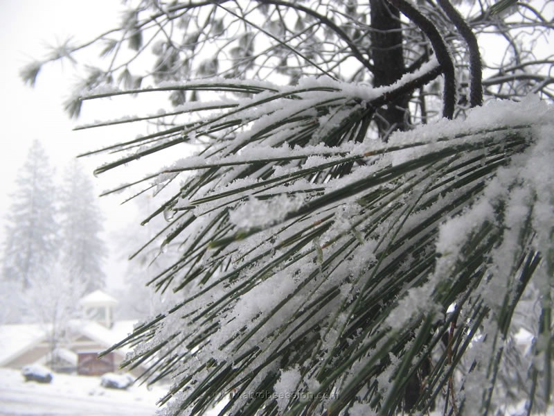 09. Christ...my first Larry Artsy Fartsy shot..jpg