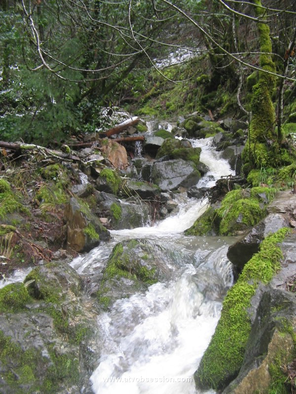 20. Someone KNOCK ME OUT! I have Larryitis..jpg