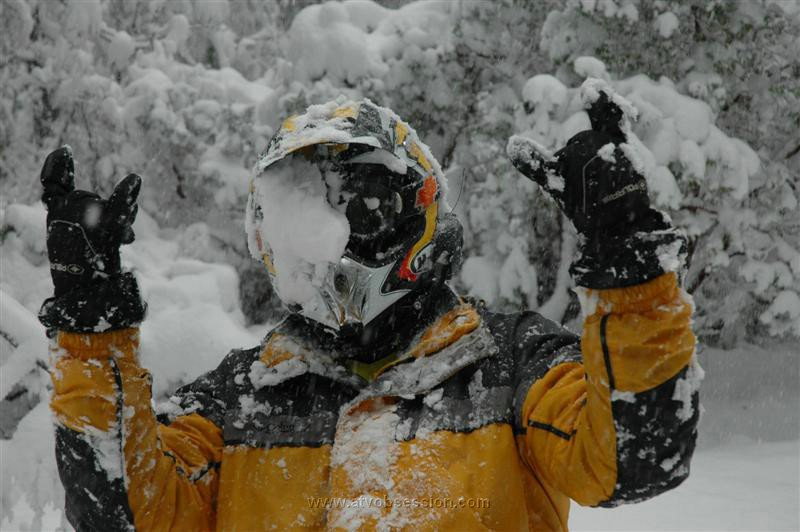 28. After Dusty slides into a ditch..I fall into the snow laughing..jpg