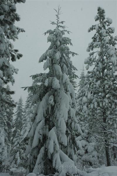 41. Here they come...Larry 'Ansel Adams'..jpg