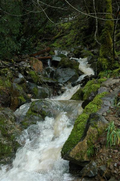 46. Larry couldn't resist..jpg