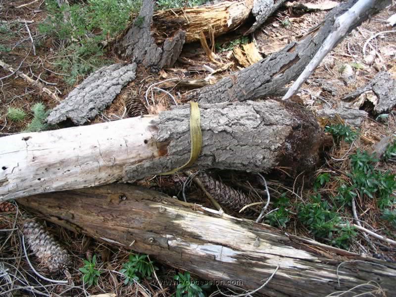 46. I guess I should have touched it..jpg