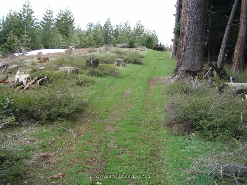 63. The other Grassy knoll..jpg