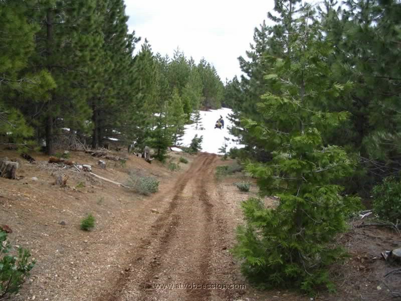 66. Didn't get far...the bitches..jpg