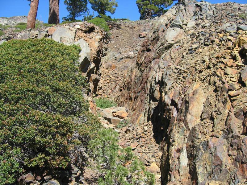 14. Here's why the came....GOLD..jpg