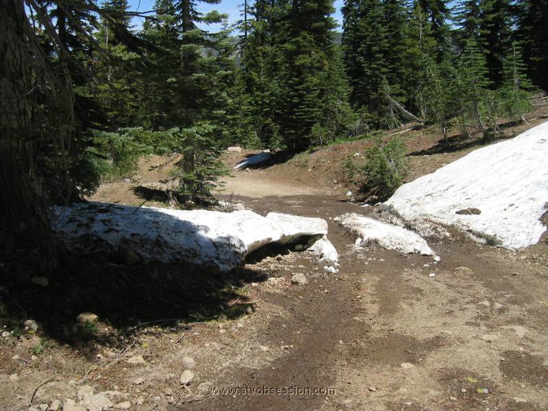 35. Here's where Terry and I winched on 10 feet of snow just 3 weeks ago..jpg