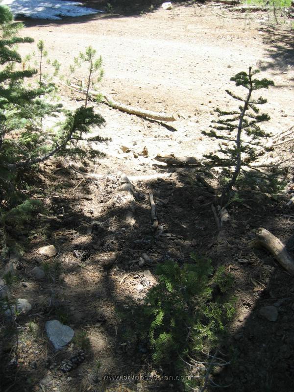 38. Ken went this way..jpg