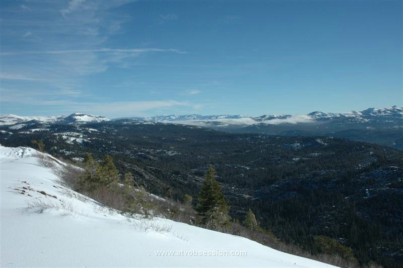 049. Creeping Death...fog in the background..jpg