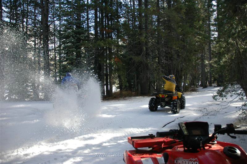 088. I'm ready this time, Rooster Boy..jpg