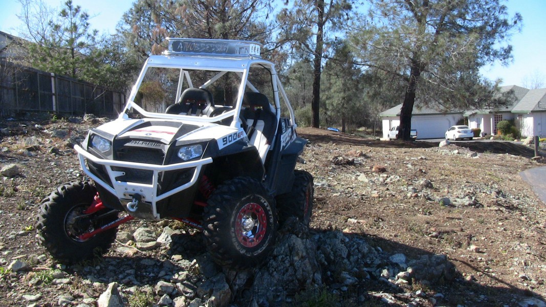 65. In my front yard..jpg