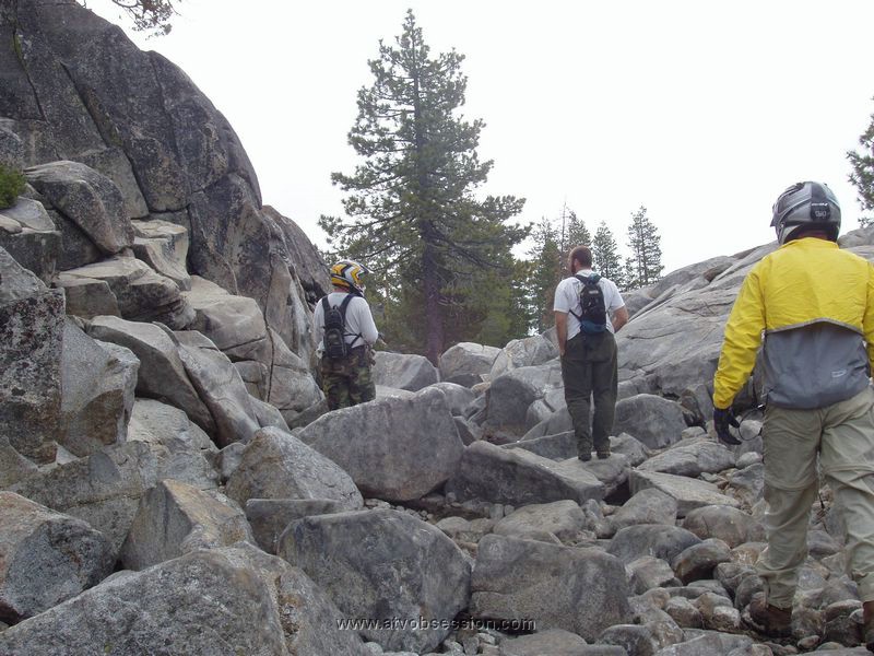 039. Chad, Dusty and Terry go up to inspect...they're getting bigger..jpg
