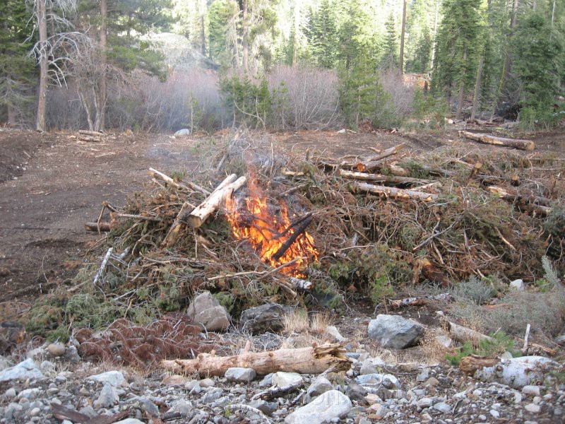 17. Riding back from Meadow Lake, some timber guys start this pile..jpg