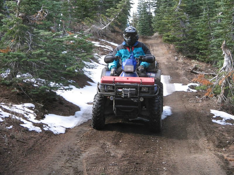 28. Jack at the famous 'Oh shit' Tree stump..jpg