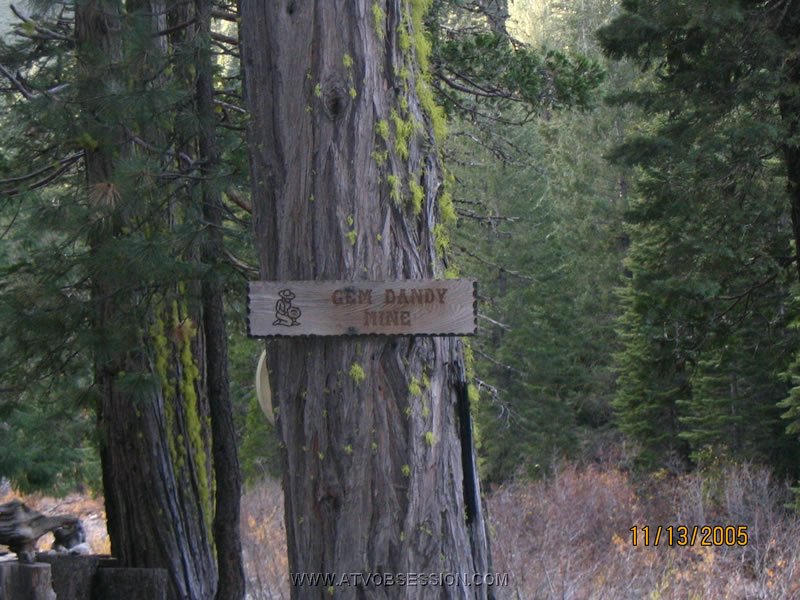 42. She's a beauty..jpg