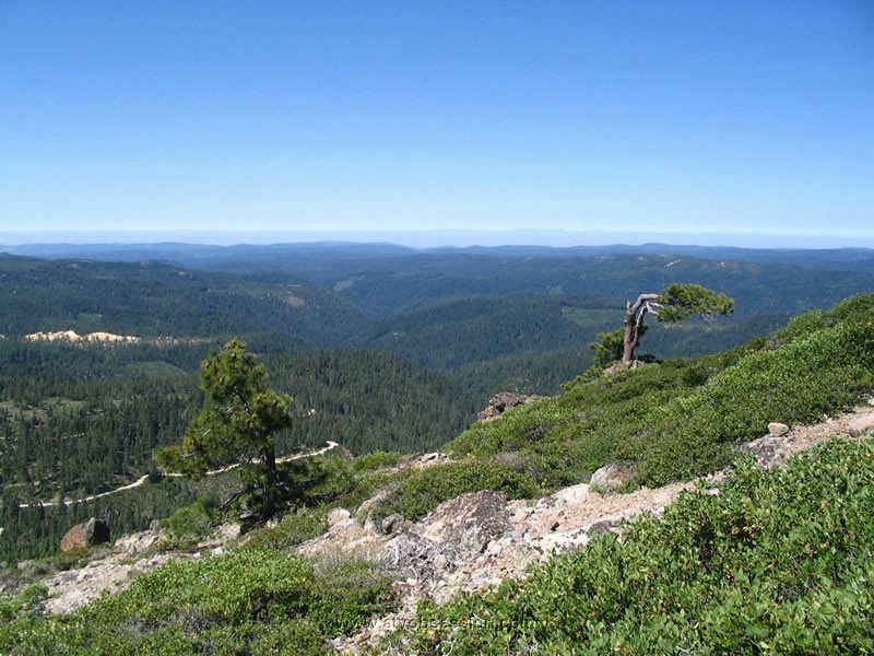 032. The views are pretty sucky...jpg