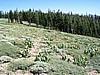 057. A nice meadow over looking Spencer Lakes..jpg