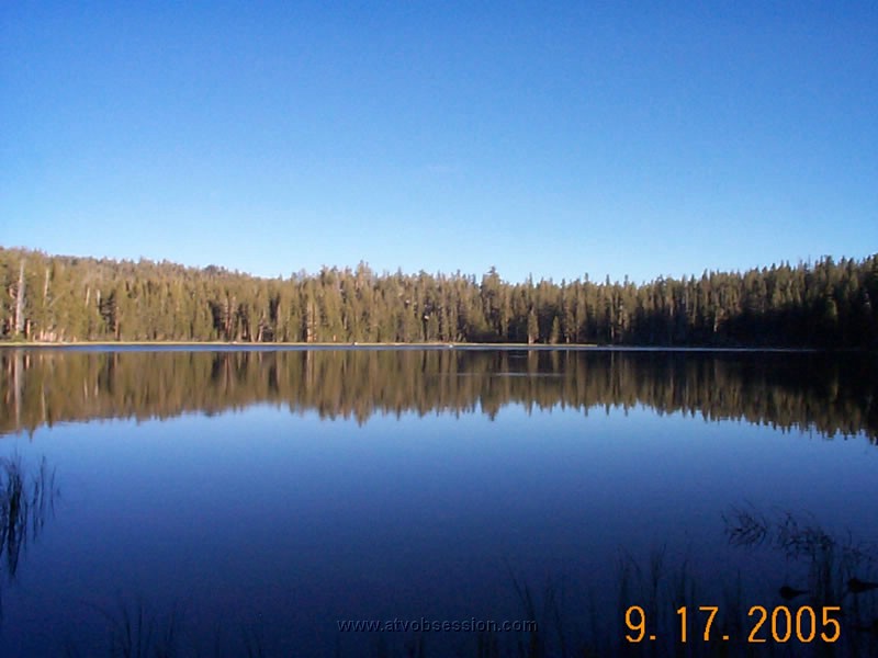 32. Glass...with fish jumping..jpg