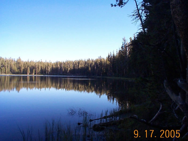 33. Look at the rings...where's my fly rod!.jpg