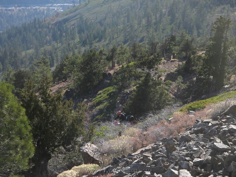 54. Larry's got a lead on us..jpg