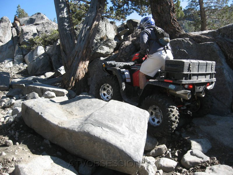 20. Dusty only has minor issues at the tree..jpg