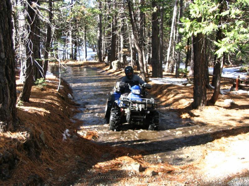 037. Jack comes through the trees..jpg