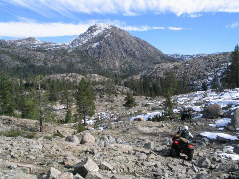 047. Another beauty..jpg