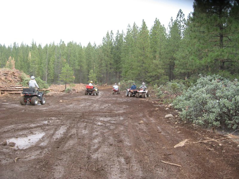 15. 'I don't know..which way do you want to go.'.jpg