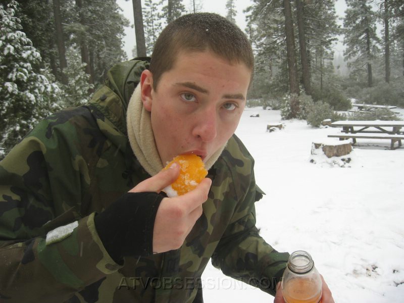 17. It's so orangey..jpg