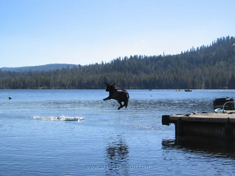 52. Kobe Bryant jumps in...and then Lacy steals the shoe at the shore..jpg