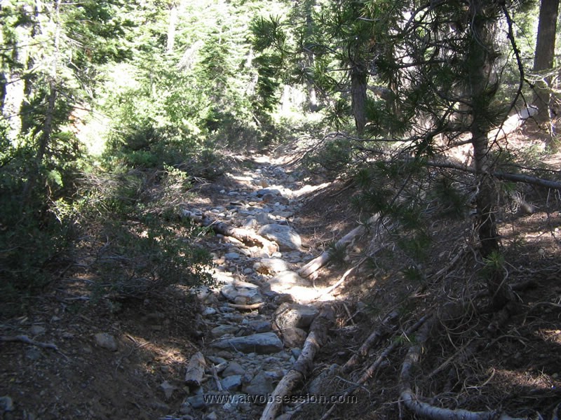 59. I tried to take this path to a road on the GPS...I ended up crashing coming back up..jpg