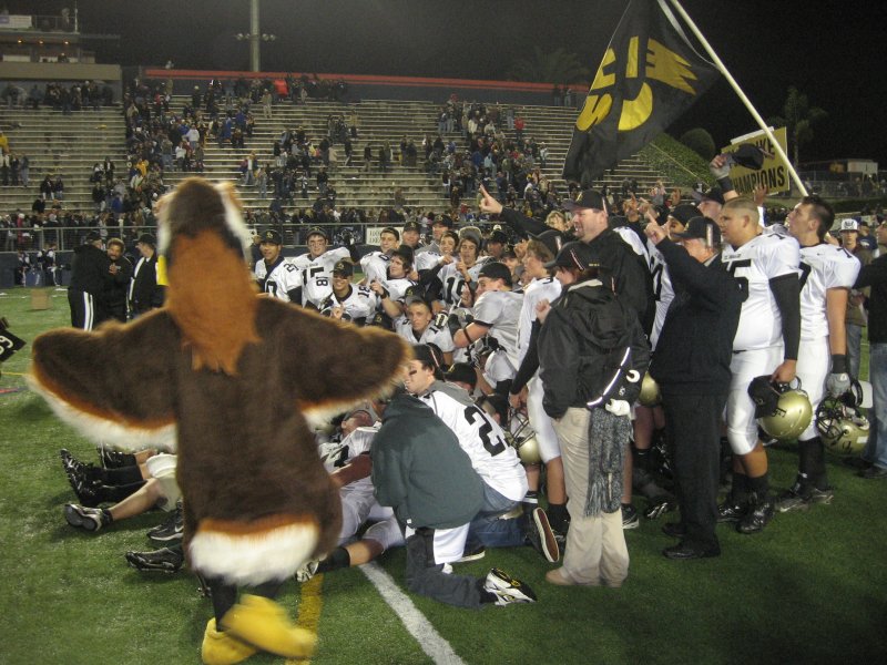 17. The Hawk joins in..jpg