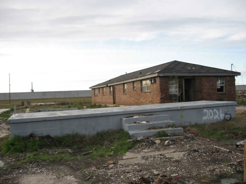 25. And the other 2, 1 didn't make it..jpg