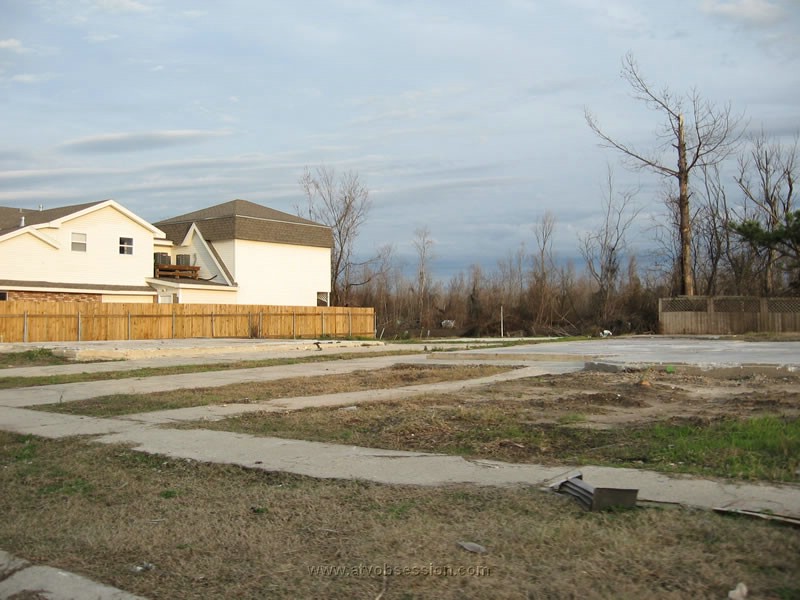 53. Neighbors...gone..jpg