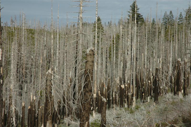 50. Devil's Gap..jpg