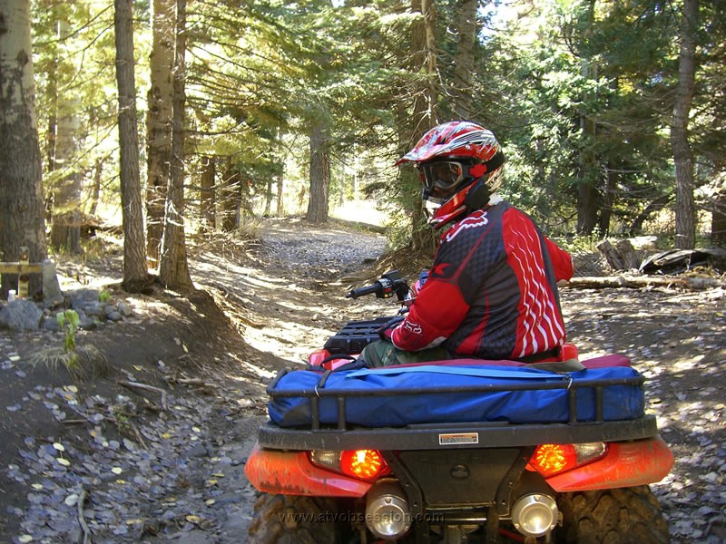 137. Dude..let's go..jpg