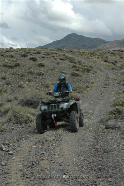 030. Wayne Brings The Little Cat Along As Well.....Meow!.jpg