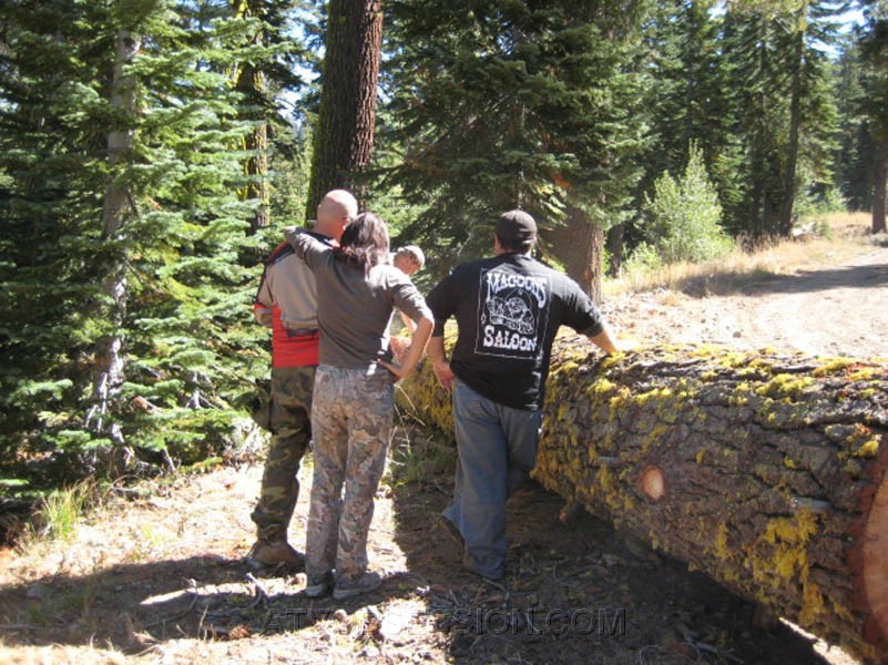 007. Kendo brought the BIG saw..jpg