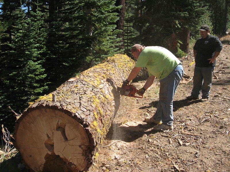 027. Kendo gets to do more manly lumberjack stuff..jpg