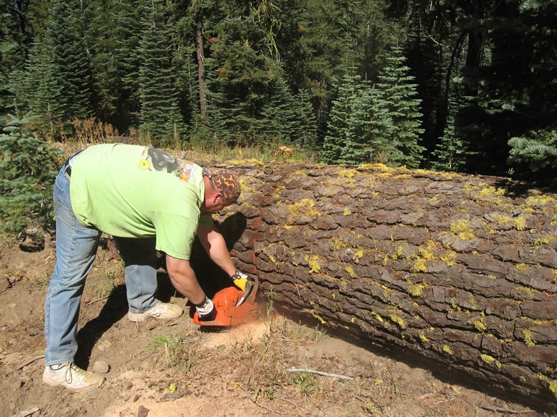 031. So a little cut...and..jpg