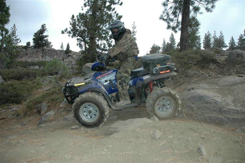 032. Jack lit up with a flash on this gloomy day..jpg