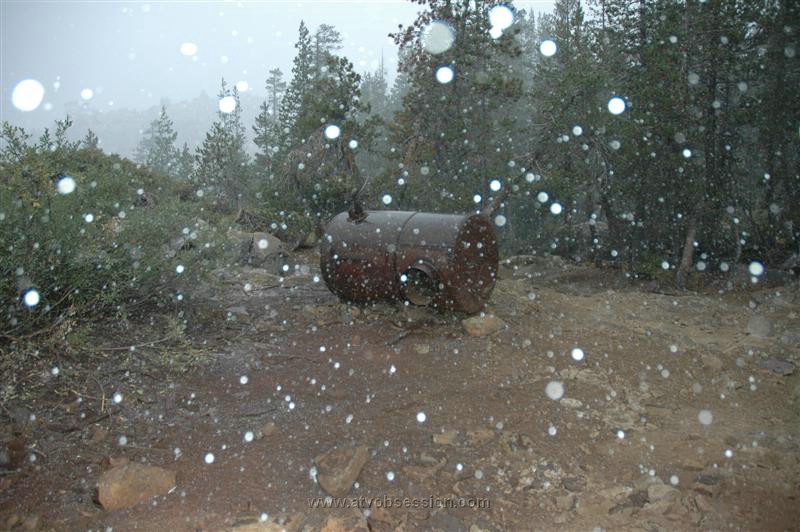 101. Big flakes..jpg