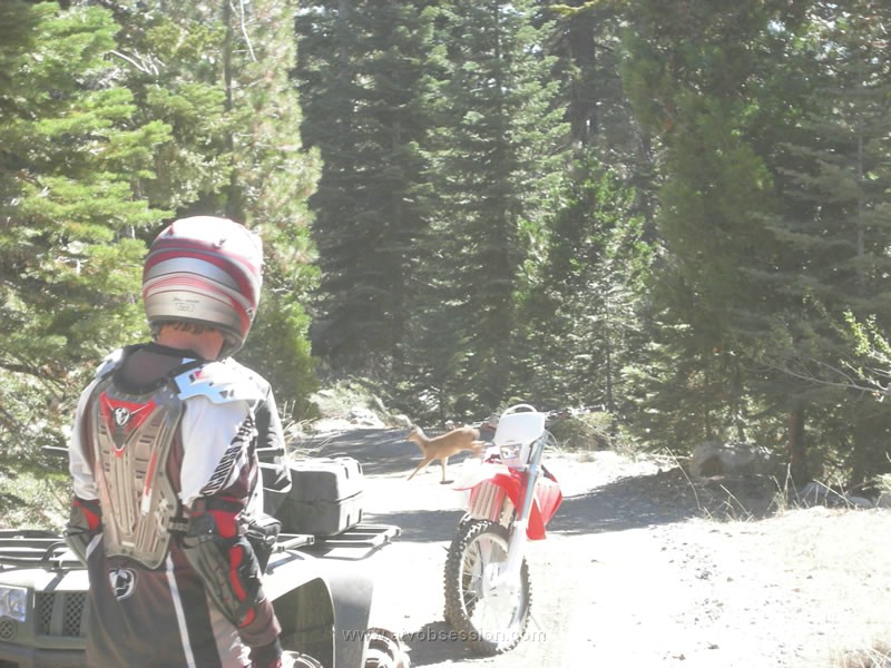 073. Terry's friend Will stops to see a deer run across..jpg