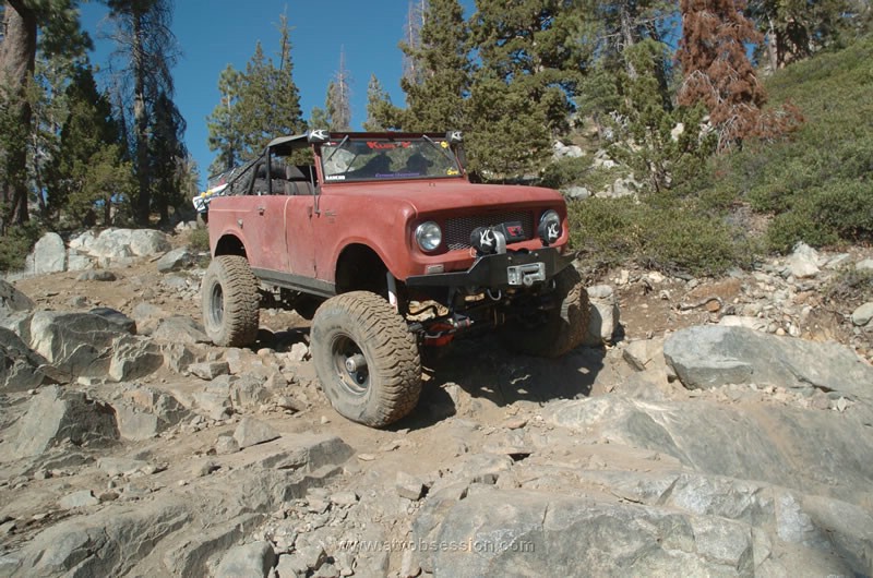 162. Derrick spots and Old Scout..jpg