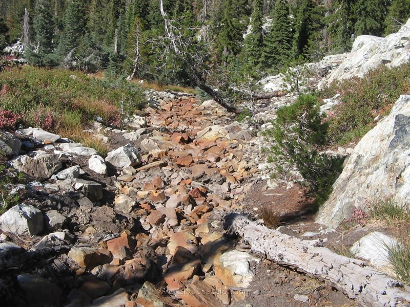 26. Later, Bill, Ken, Jack and Tom Z go back to down...it looks nasty..jpg