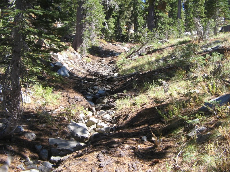 29. The trail kinda fades...so I take a walk..jpg