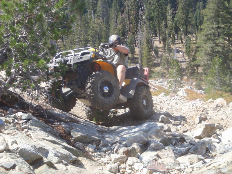 19. All twisted up....jpg