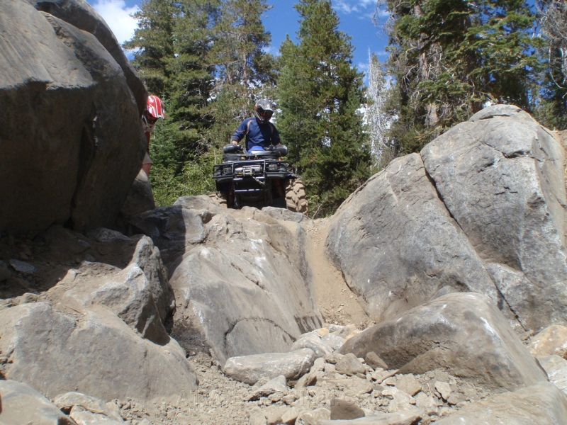 032. Jack is ready..jpg