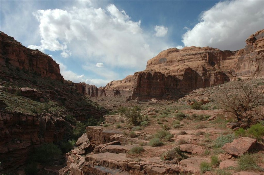 076. Definitely bad...jpg